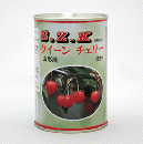 スペシャルクイーンチェリー4号缶　枝付